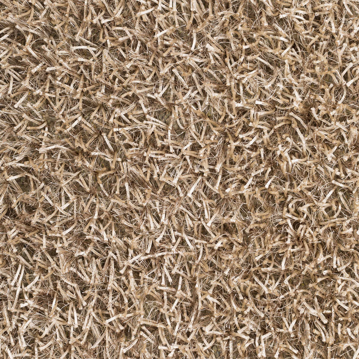 Boutique Rugs Egan Area Carpet - view 6