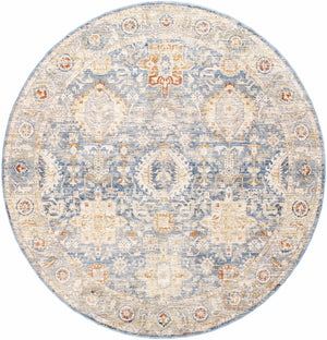Boutique Rugs Eytan Area Rug - view 11