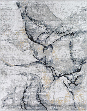 Boutique Rugs Fremantle Gray Marble Rug
