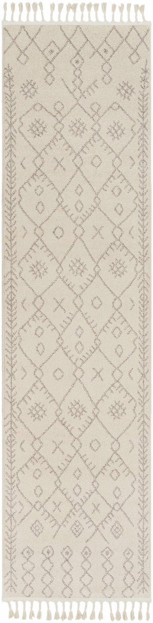 Boutique Rugs Furman Area Rug - view 11