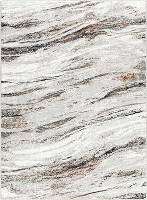 Boutique Rugs Glain Gray & Brown Marble Area Rug
