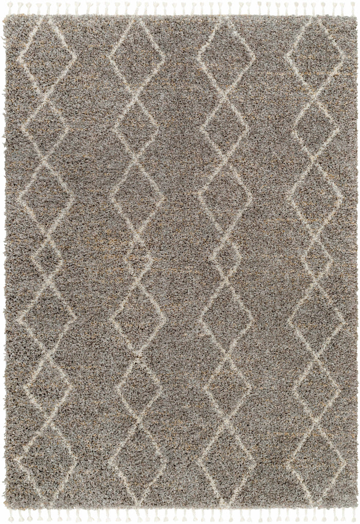 Boutique Rugs Ishan Taupe Area Rug