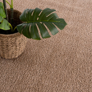 Boutique Rugs Judy Brown - Promo Washable Area Rug - Clearance - view 12