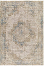 Boutique Rugs Kosta Beige & Blue Medallion Area Rug