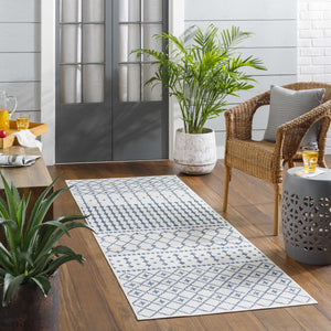 Boutique Rugs Lali Blue & Gray Outdoor Area Rug - view 2