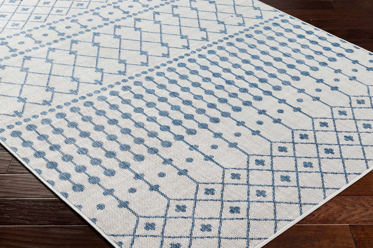 Boutique Rugs Lali Blue & Gray Outdoor Area Rug - view 5