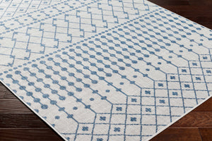 Boutique Rugs Lali Blue & Gray Outdoor Area Rug - view 5
