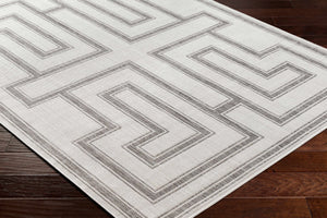 Boutique Rugs Taro Light Gray Outdoor Area Rug - view 5