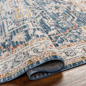 Bree Traditional Style Rug - Clearance