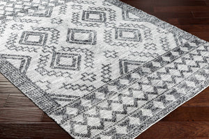 Bram Area Rug