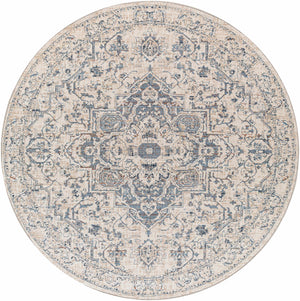 Buguey Area Rug - Clearance