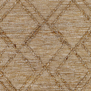 Buse Hand Woven Beige Area Rug - Clearance
