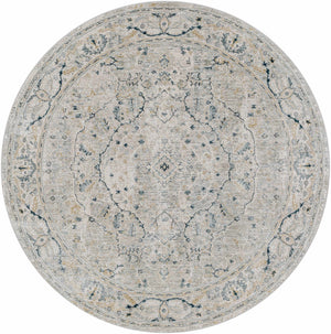 Bushnell Boutique Rug