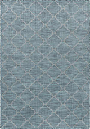 Unique Outdoor Trellis Area Rug, Teal - Clearance