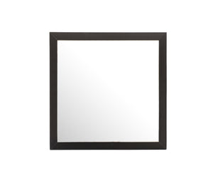 Burlington - Modern Design Transitional Wall Mirror