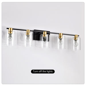 5-Light Matte Bathroom Lighting