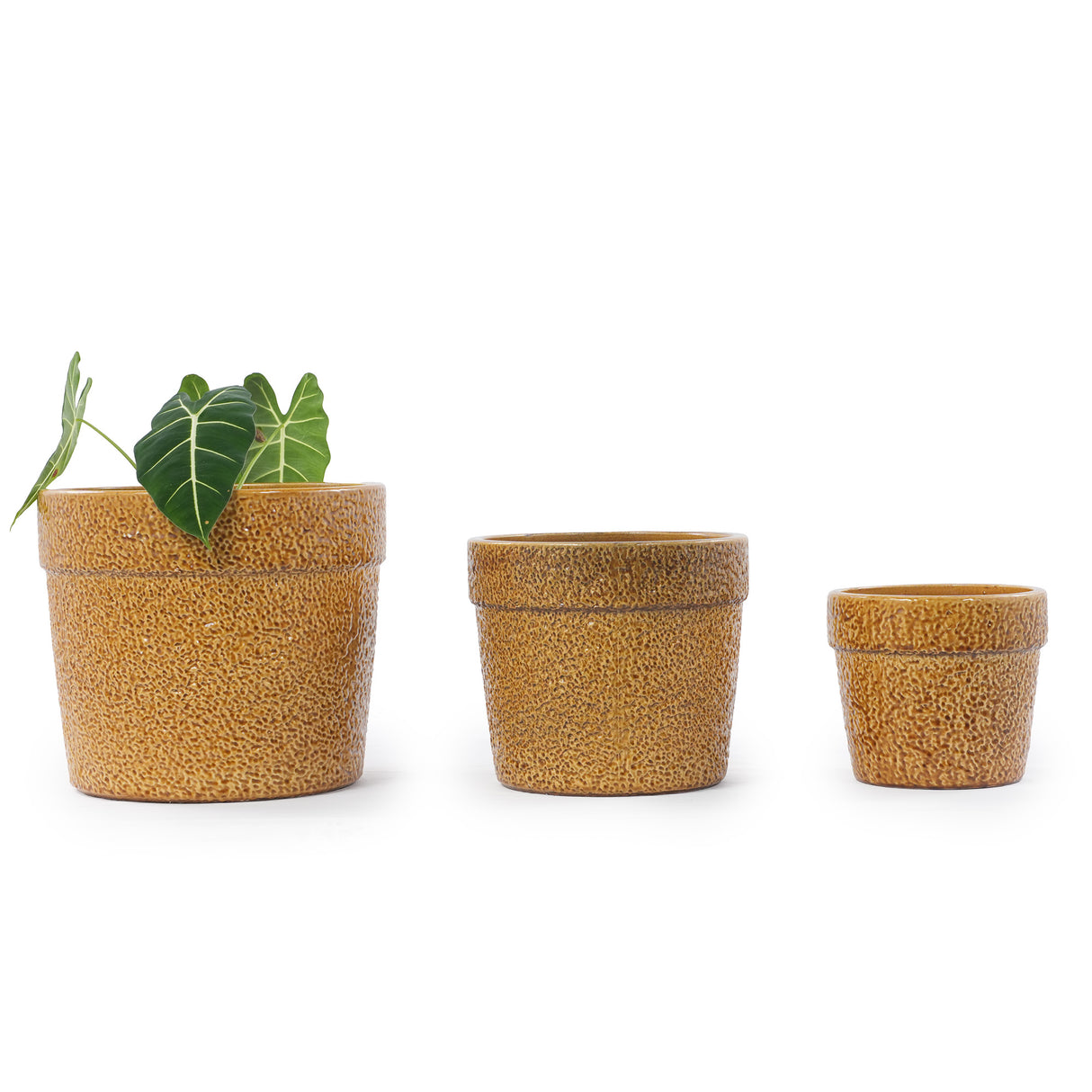 Handmade Ceramic Planter Set of 3