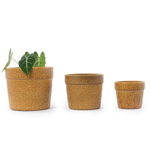 Handmade Ceramic Planter Set of 3