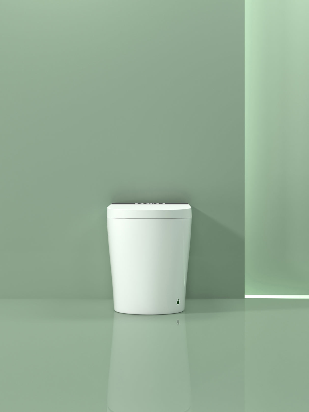 Compact Smart Toilet with Built-in Bidet Seat and Modern Tankless Design