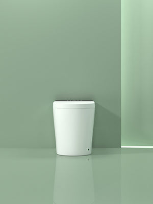 Compact Smart Toilet with Built-in Bidet Seat and Modern Tankless Design