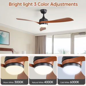 Ceiling Fan With 3 Blades, Remote Control, Reversible DC Motor, Noiseless Operation, 3 Downrods