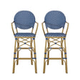 Outdoor Wicker And Aluminum French Barstools (Set of 2) - Best Buy Furniture