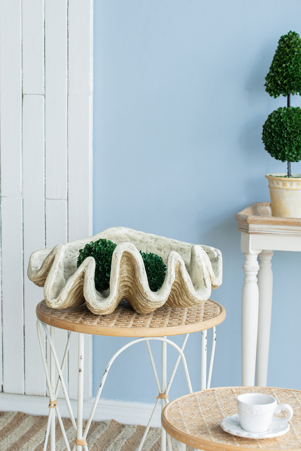 Medium Clam Shell Accent