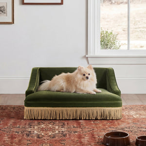 Duchess 33' Medium Princess Pet Bed Sofa with Fringe Skirt, Olive Green Velvet
