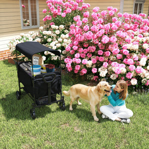 Wagon Stroller for 2 Kids