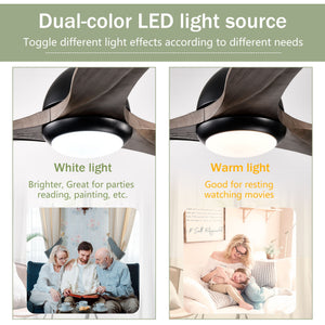 Indoor Outdoor Ceiling Fan With Light With Remote Control, Noiseless Reversible Motor, 6 Speed, 3 Color