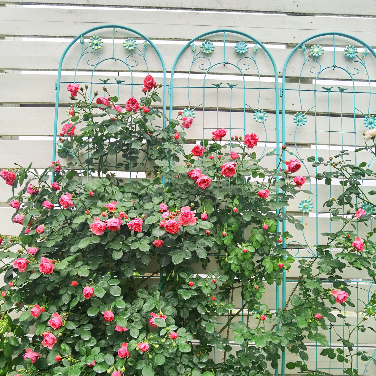 Metal Garden Trellis Rustproof Trellis For Climbing Plant Outdoor Flower Support