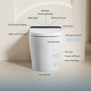 Tankless Smart Toilet with Built-In Bidet and Remote Control