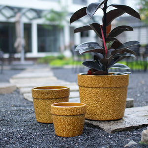 Handmade Ceramic Planter Set of 3