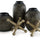Vinburn - Accessory Set (Set of 5) - Best Buy Furniture