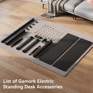48"×24" Electric Standing Desk