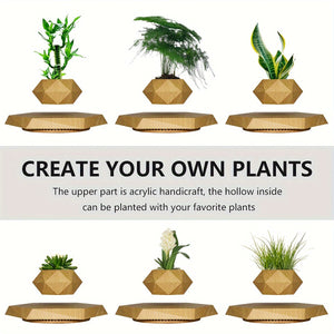 Magnetic Levitating Plant Pot – Rotating Floating Geometric Bonsai Planter Indoor