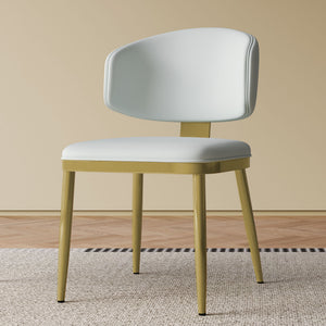 Modern Dining Chairs For Kitchen (Set of 2)