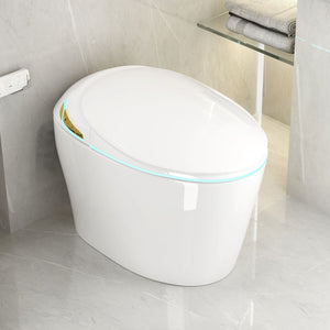 Unique Smart Toile With Built In Bidet, Auto Open / Close Seat, Foot Sensor, LED Display, Night Light, Warm Water & Dryer Ceramic