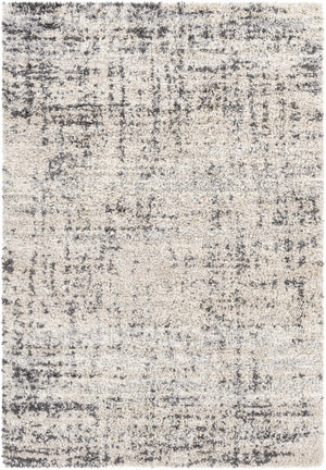 Calsib Area Rug