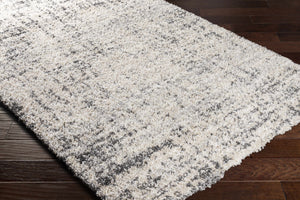 Calsib Area Rug