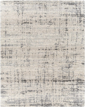 Calsib Area Rug