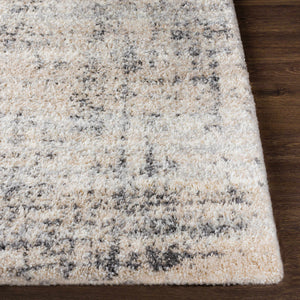Calsib Area Rug
