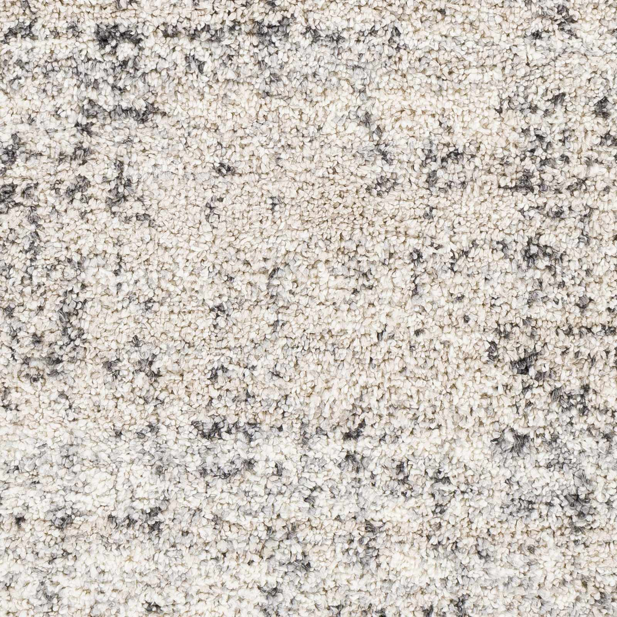 Calsib Area Rug