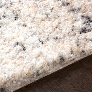 Calsib Area Rug