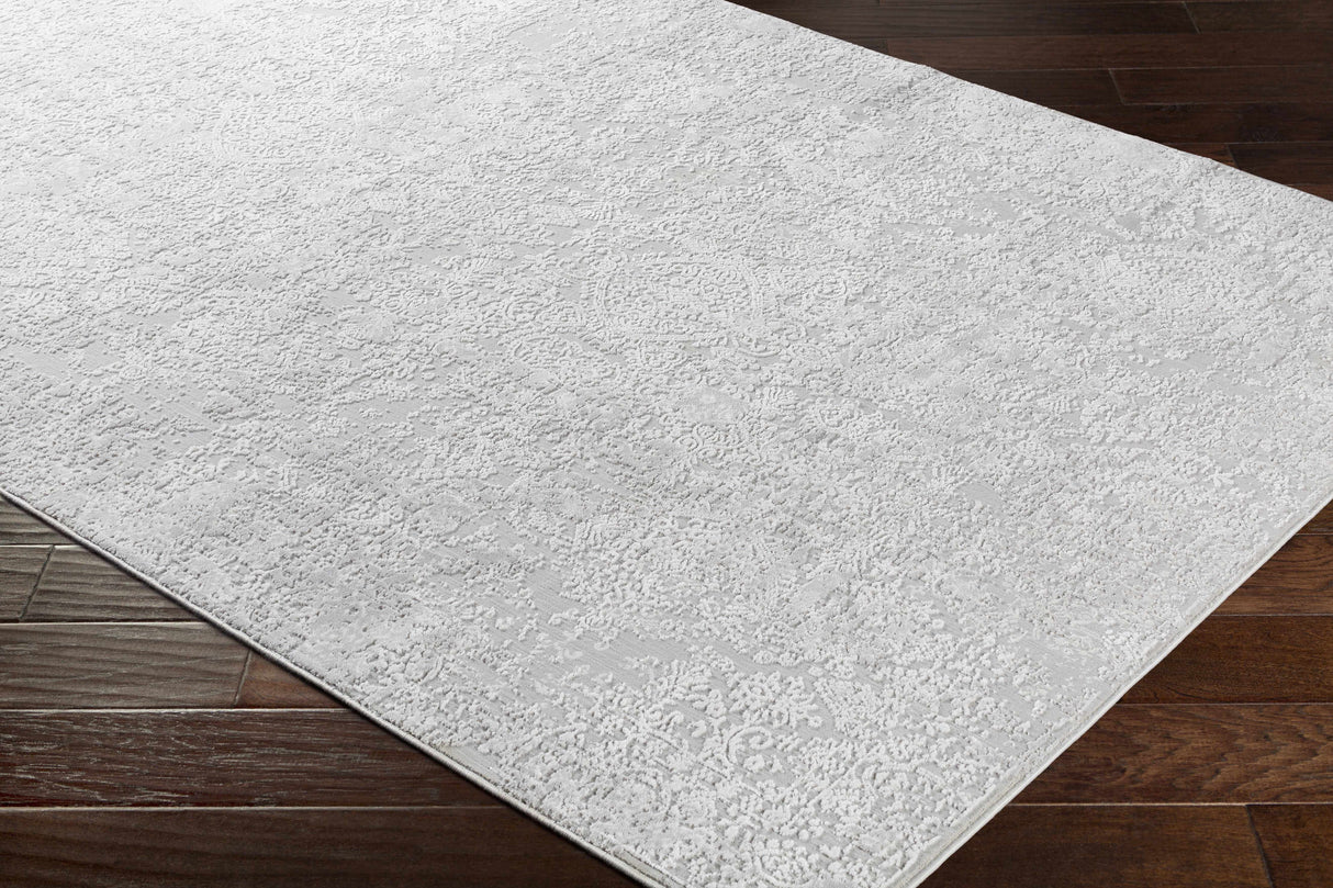 Canaseraga Area Rug - Clearance