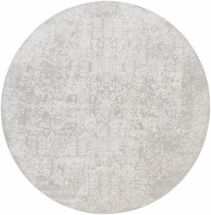 Canaseraga Area Rug - Clearance