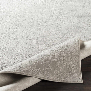 Canaseraga Area Rug - Clearance
