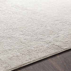 Canaseraga Area Rug - Clearance