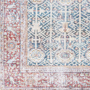 Rust Catadupa Distressed Washable Area Rug - Clearance
