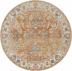Cayla Area Rug - Clearance
